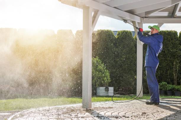Best Concrete Sealing  in Pharr, TX
