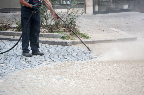 Animal Enclosure Cleaning in Pharr, TX